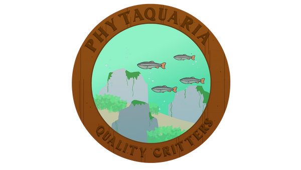 Phytaquaria